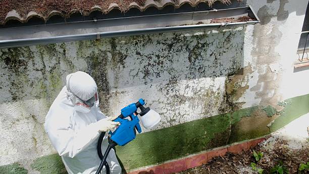 Top rated local Mold Remediation specialists in Huntly, VA